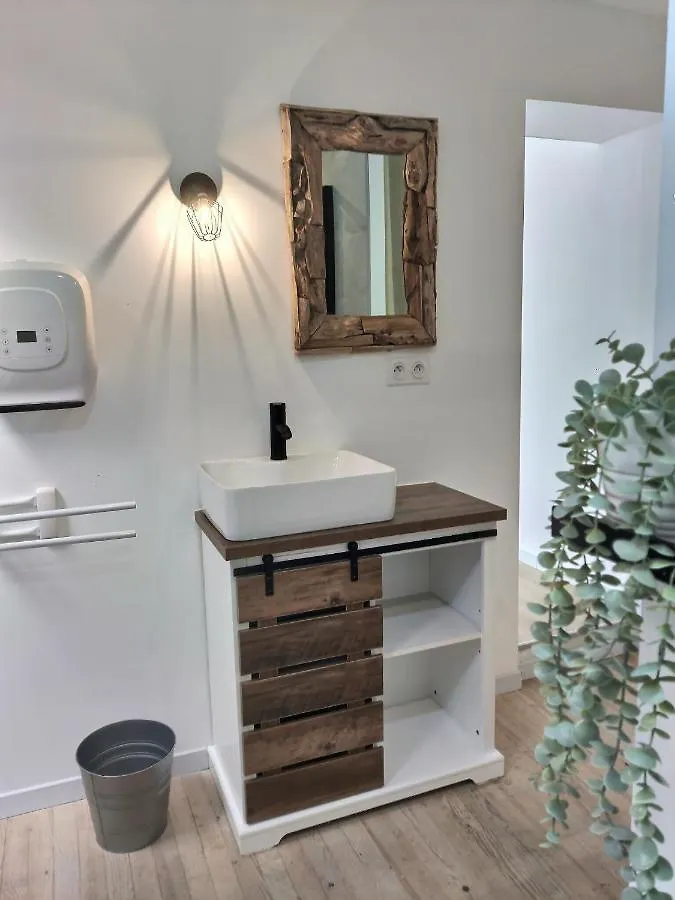 Le Grand Evali - Wifi - Centre Apartment Albi 0*,