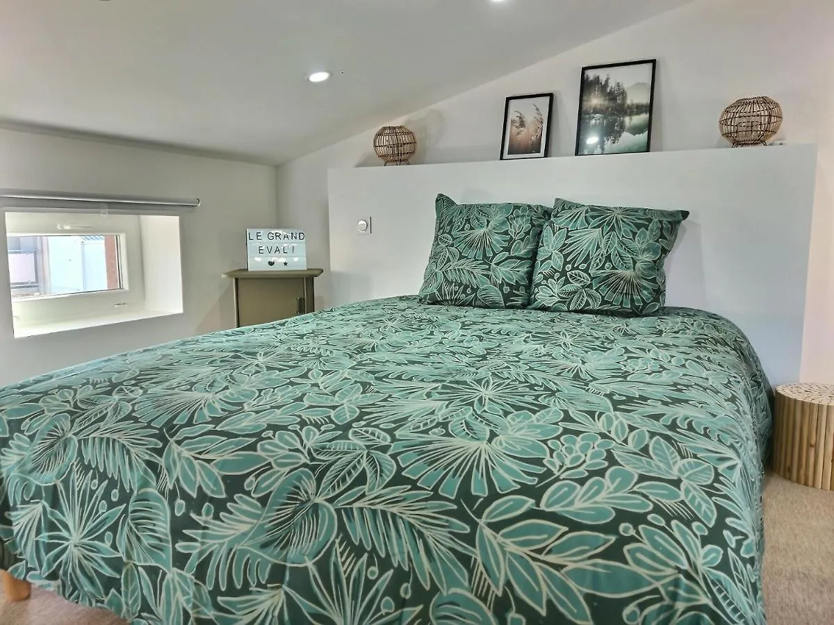 Le Grand Evali - Wifi - Centre Apartment Albi